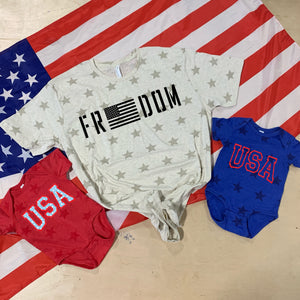 Freedom Distressed w/ Flag