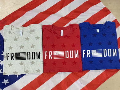 Freedom Distressed w/ Flag